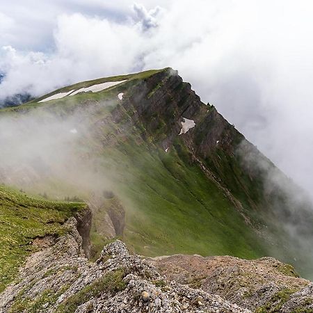 Gruenes Allgaeu Simon Held Opfenbach ภายนอก รูปภาพ
