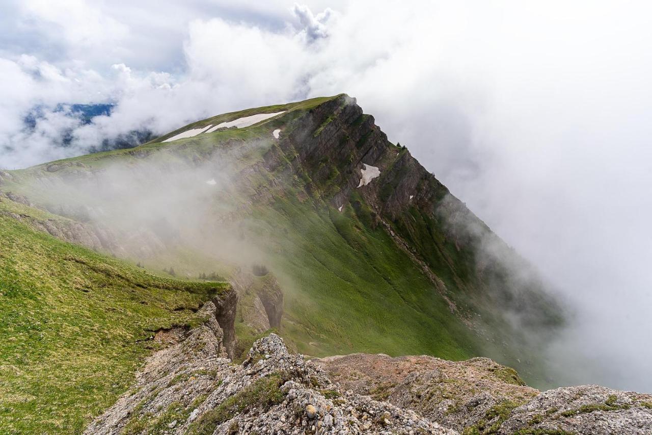 Gruenes Allgaeu Simon Held Opfenbach ภายนอก รูปภาพ